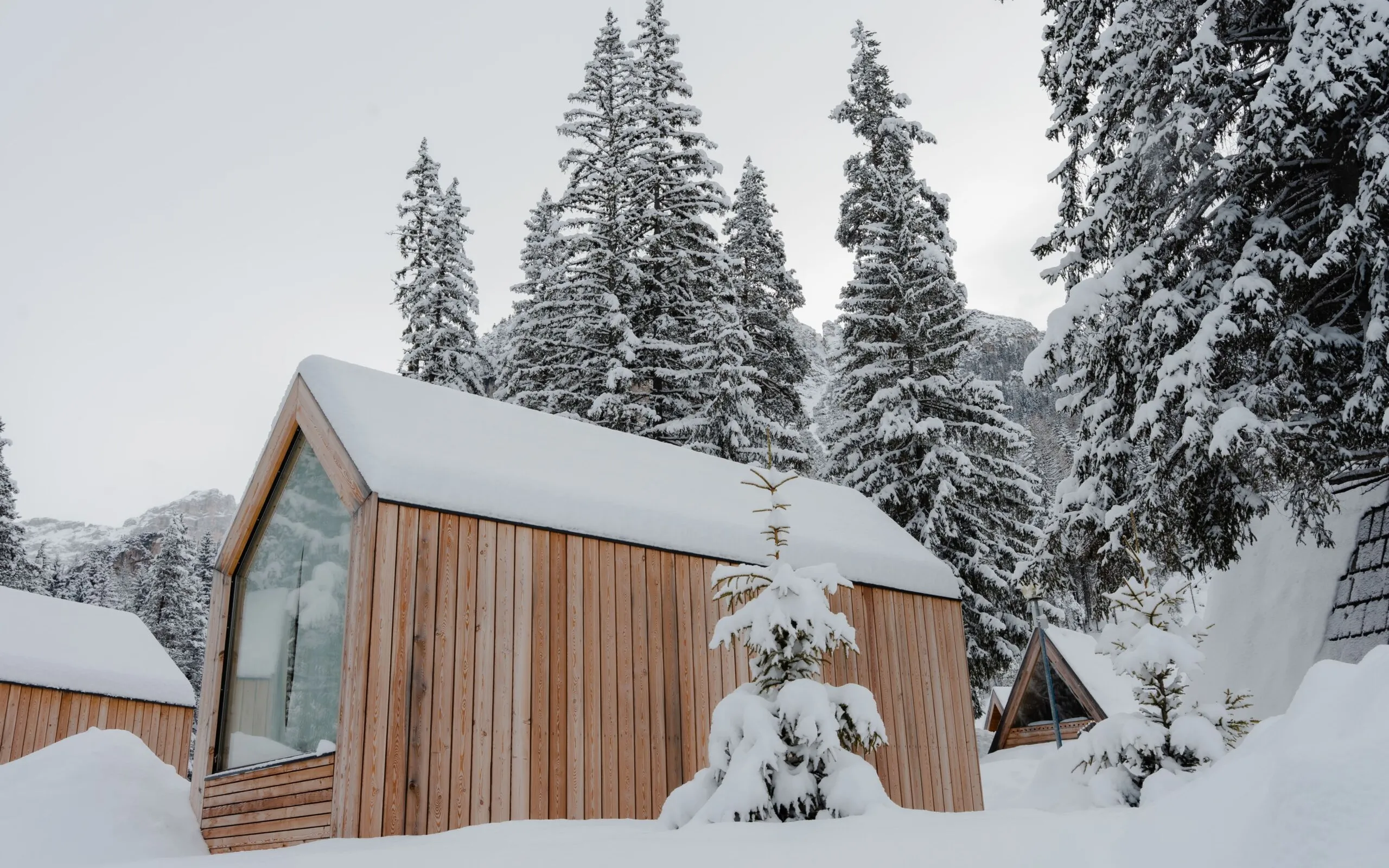 Forest Cabin Winter 2