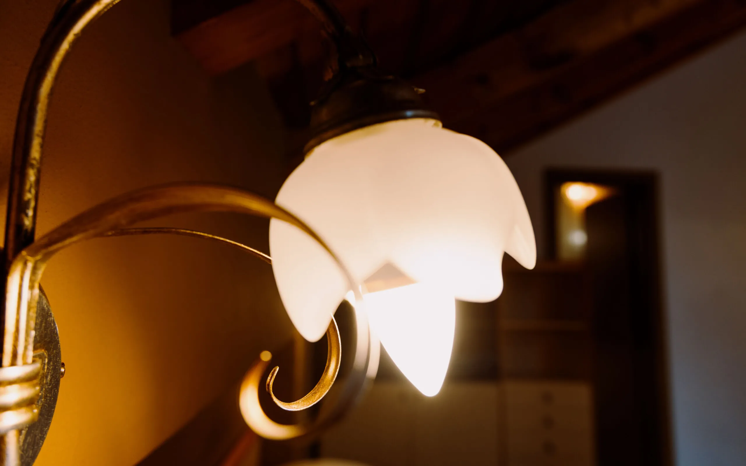 ALICESUTTONPHOTOGRAPHY 5309