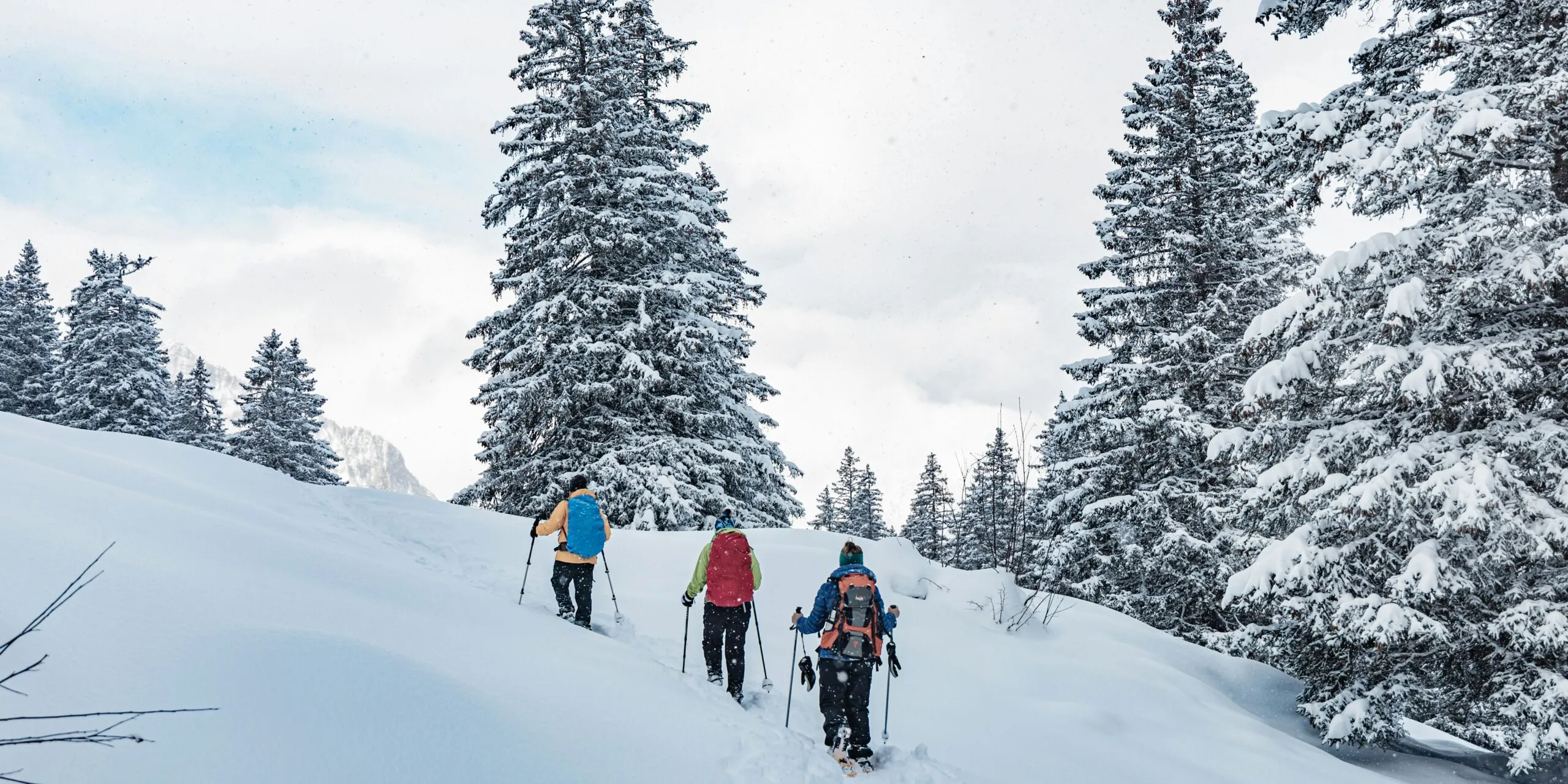 Ciaspole - David cerini unsplash