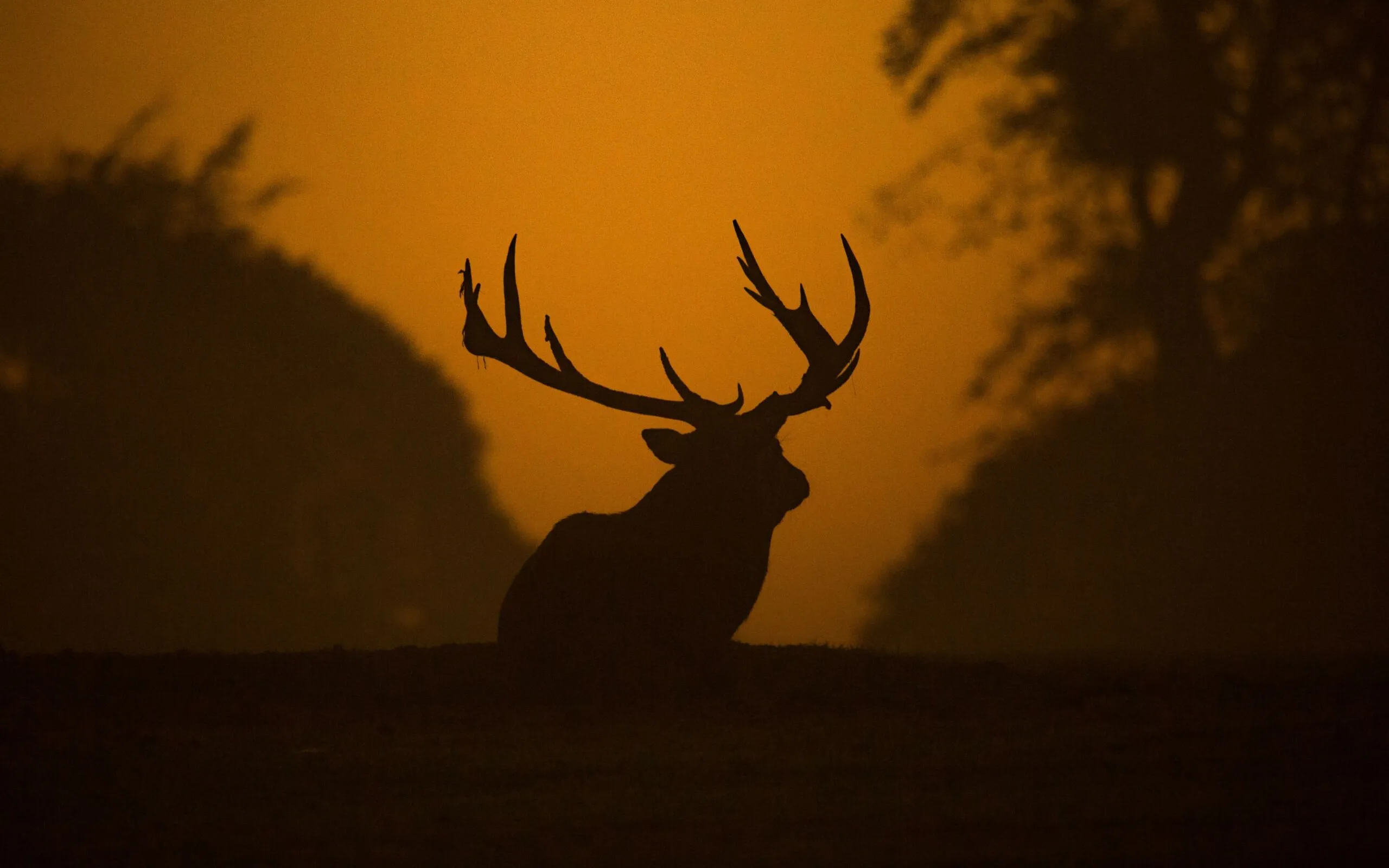 Diana parkhouse 5 RY9 Gtj PXZM unsplash