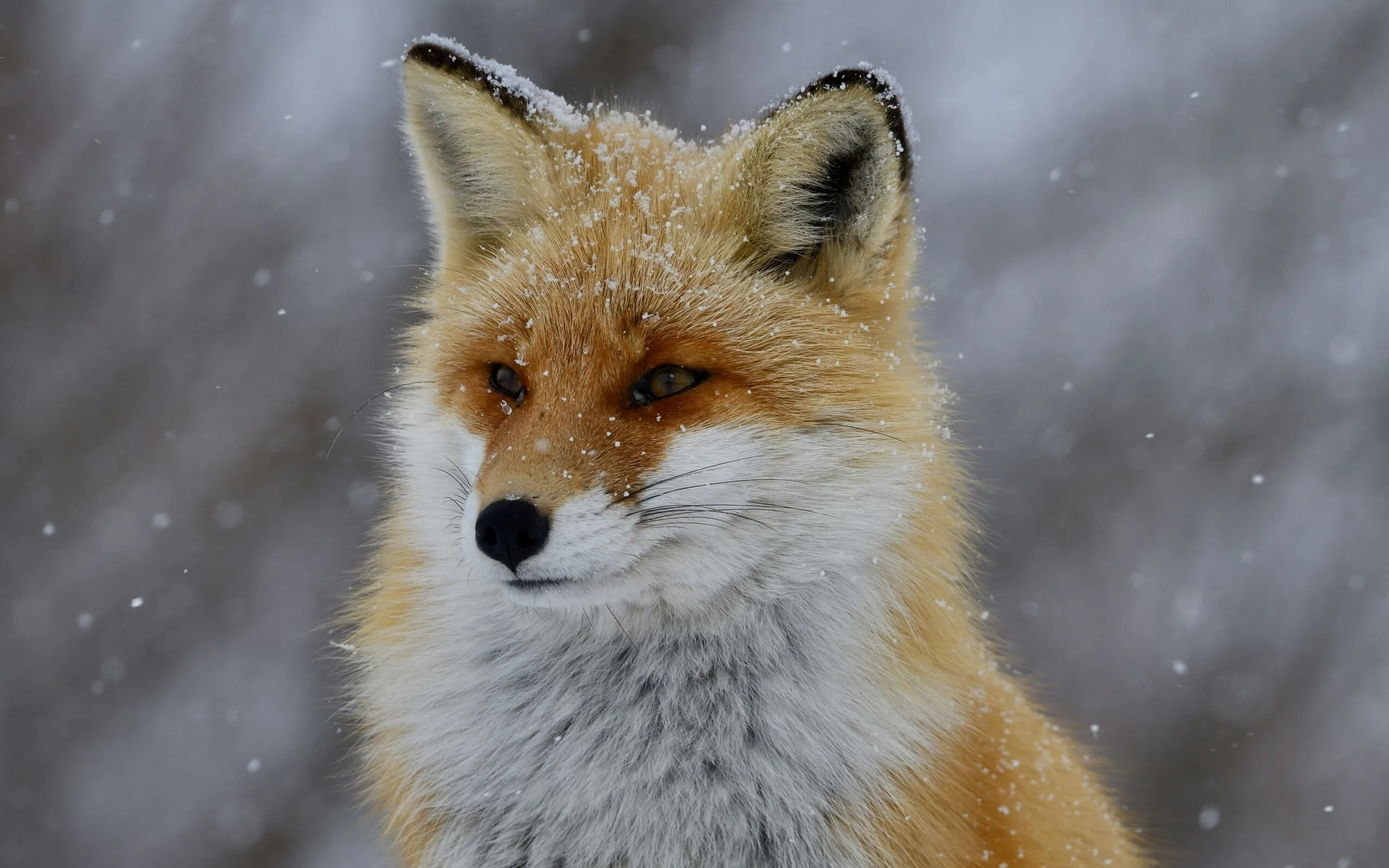 Freezer 2z3 Fb Im5hgs unsplash