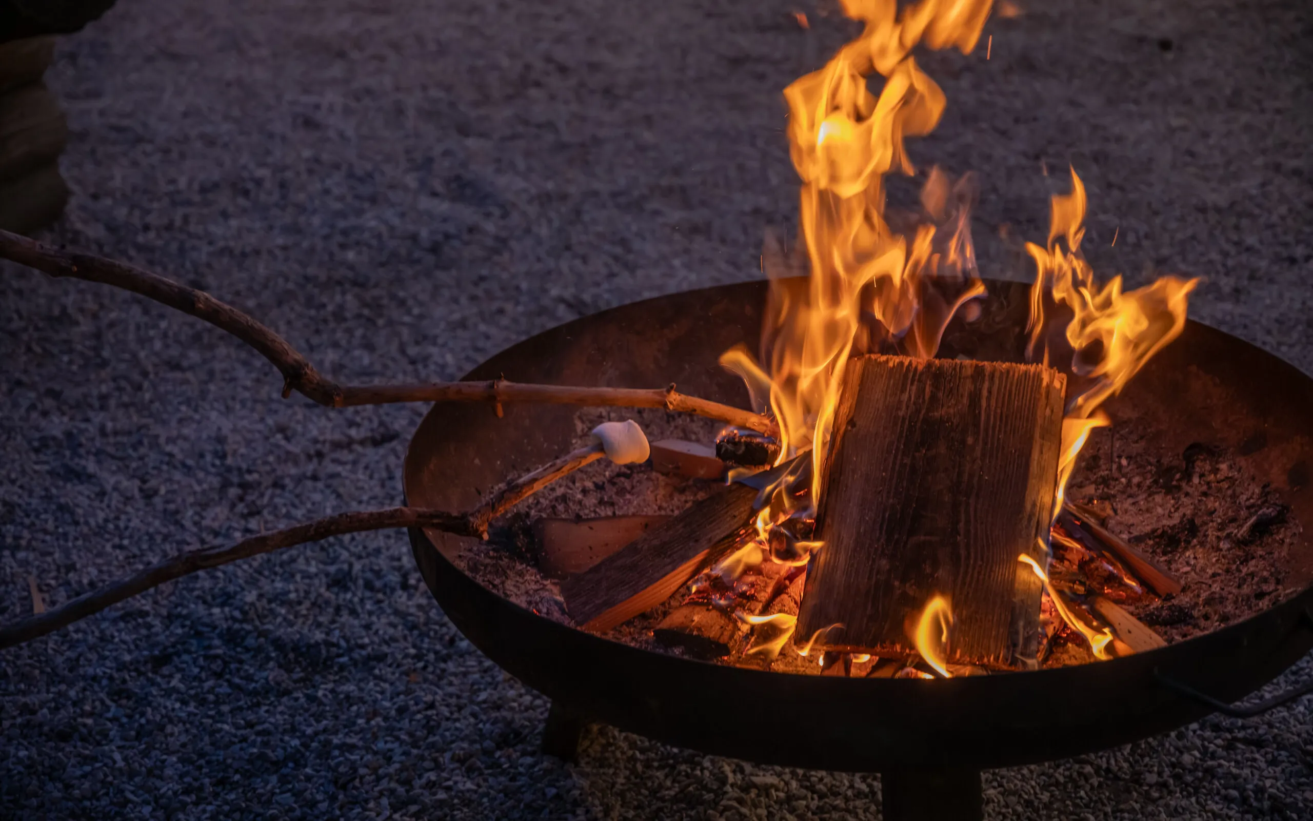 Ph GC 117 BGV 9015 Migliorato NR