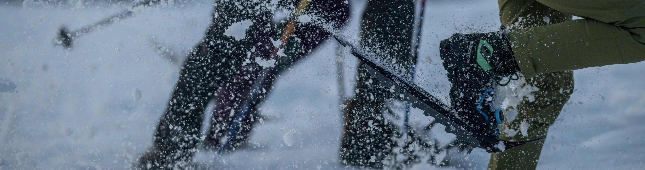 Snowshoes - Copyright ©Christian Stadler