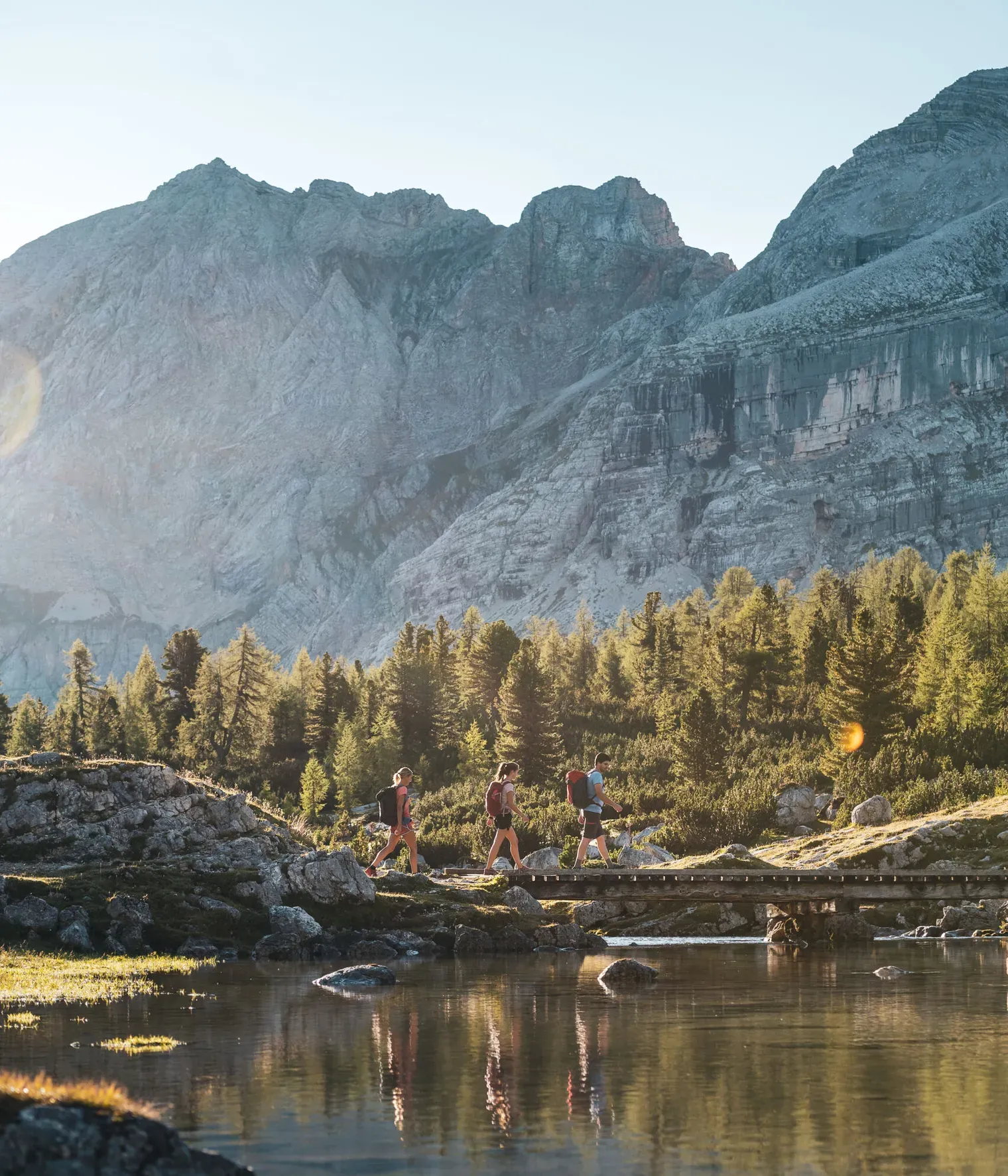 2020 Moling Alex WAN WAS Fanes High Resolution SO 145