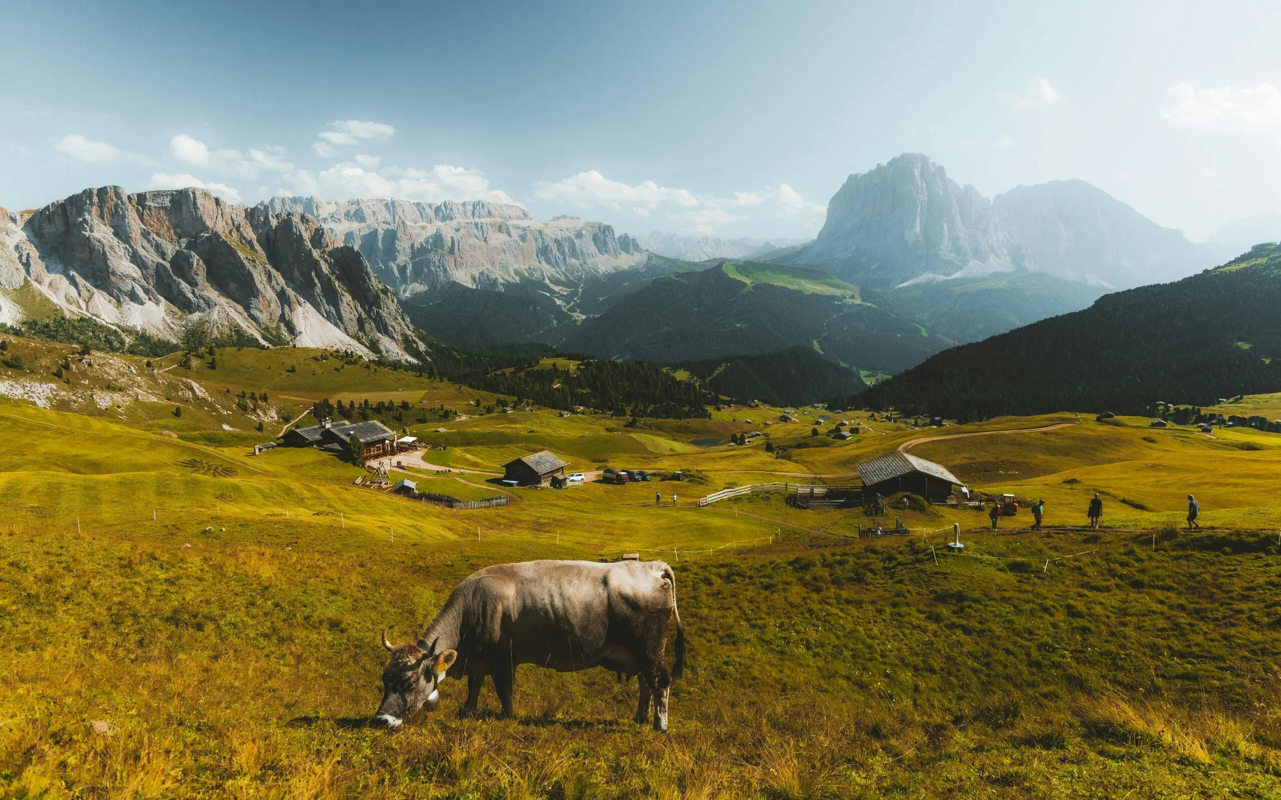 Pexels urtimud 89 76108288 35116756