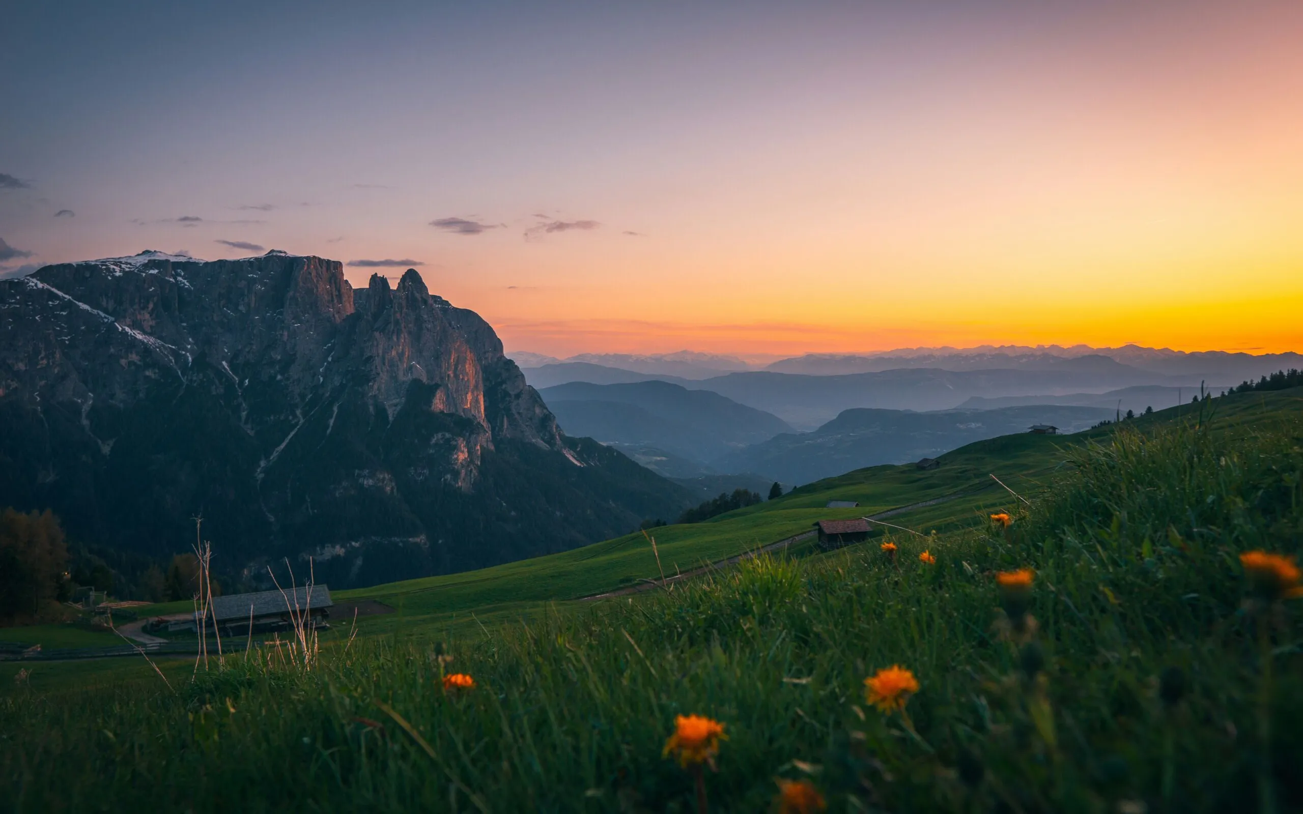 Tobias reich 2 YH7 ME Muly4 unsplash