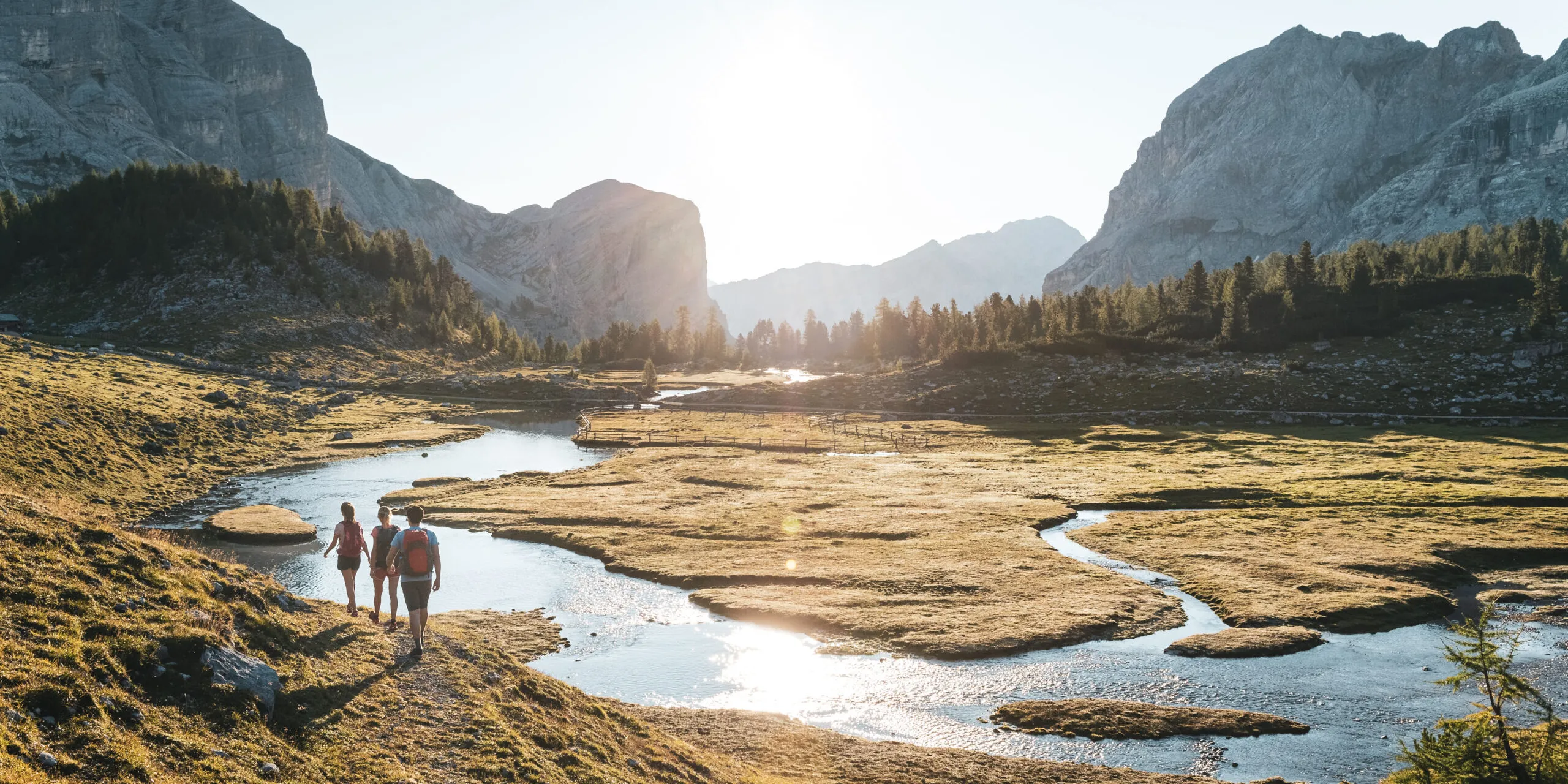 2020 Moling Alex WAN WAS Fanes High Resolution SO 140