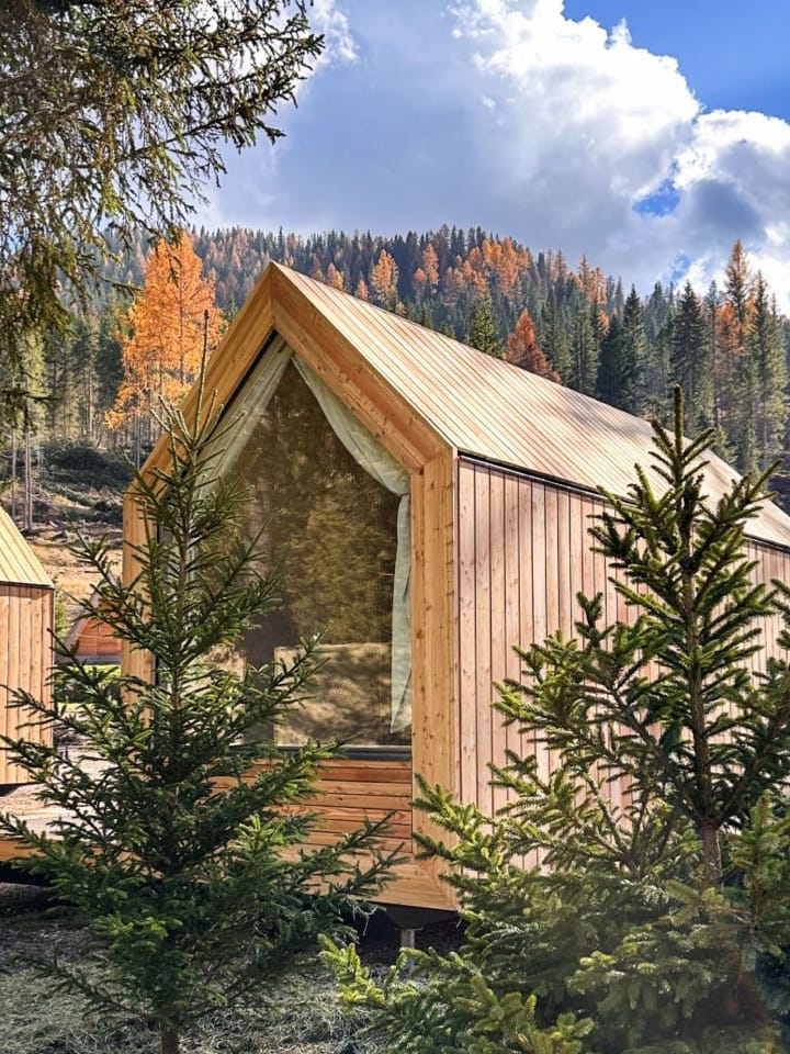 Forest Cabin